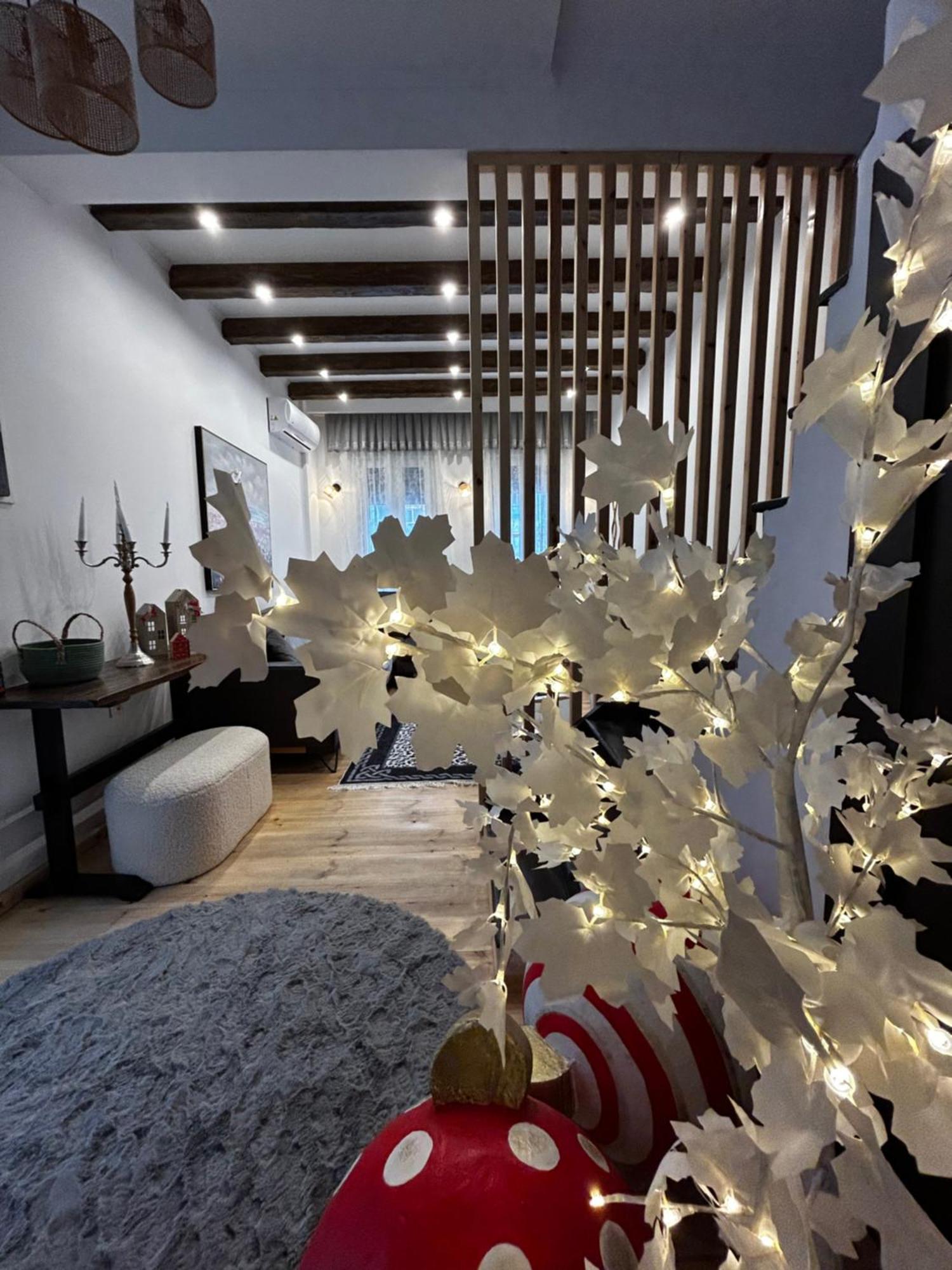 Homefeel2024 Apartment